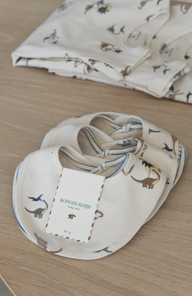 2 Pack Basic Bib - Kubi/Stripe Bluie