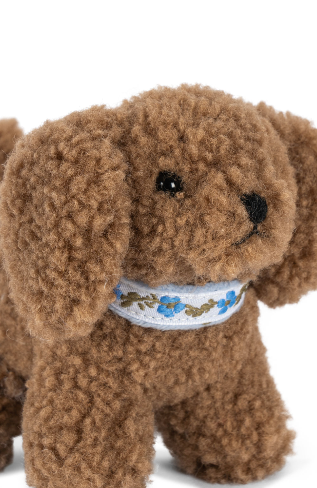 Activity Puppy