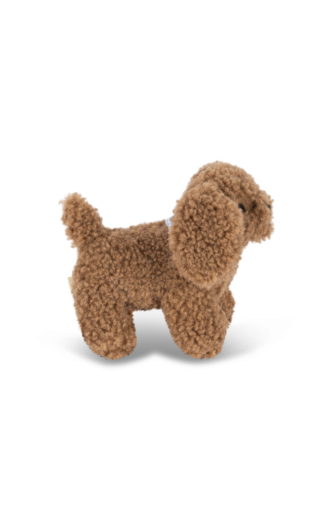 Activity Puppy