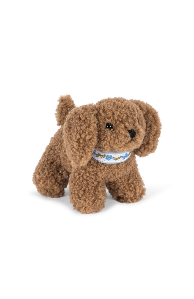 Activity Puppy