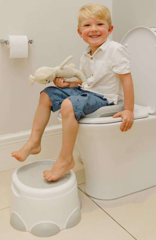 Step ‘n potty - Cool Grey