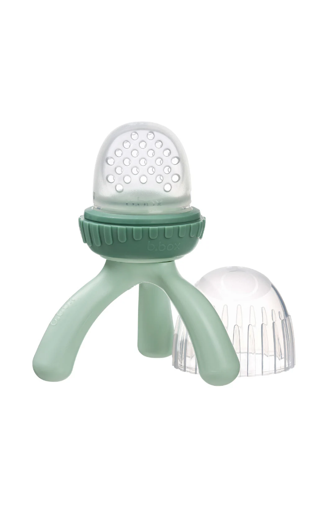 Silicone Fresh Food Feeder - Sage