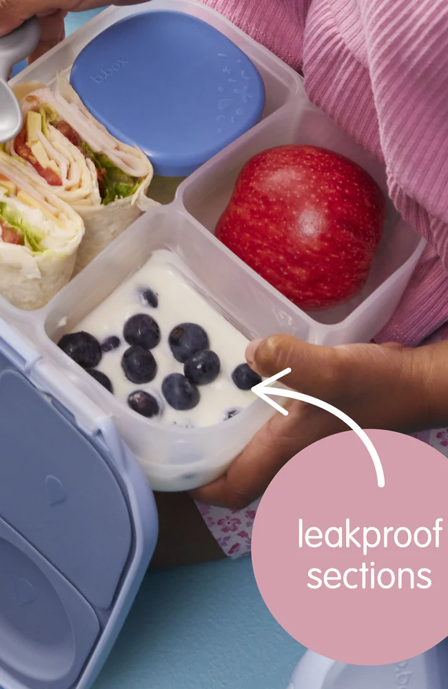 Mini Lunchbox - Blush Crush