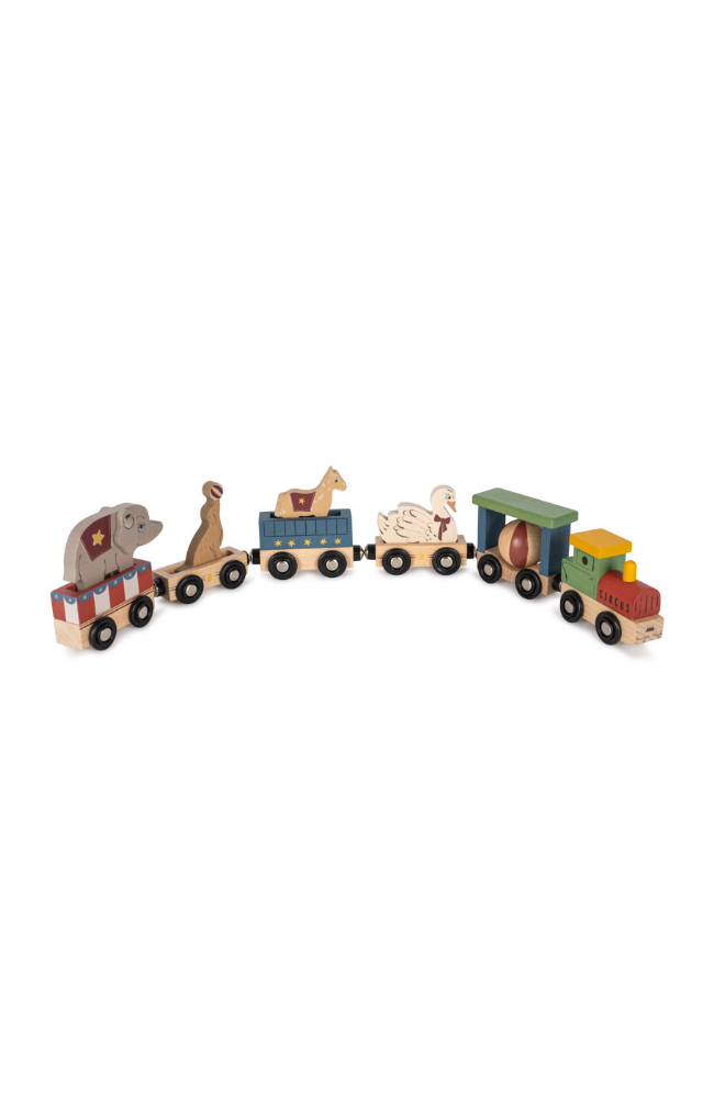 Wooden Animal Train - Multi