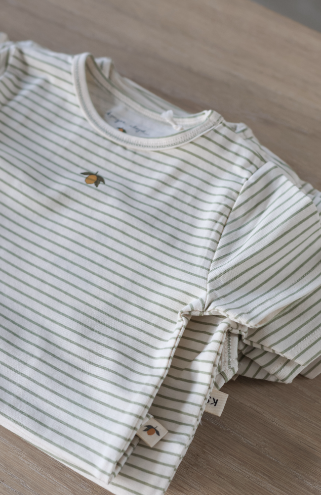 Basic Short Sleeve Body - Tea Stripe