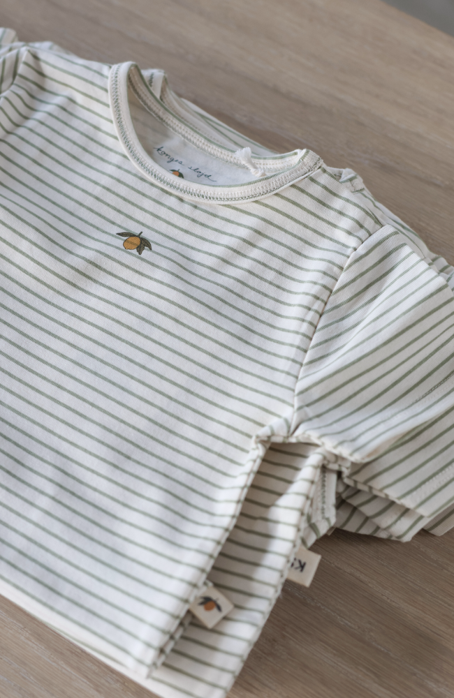 Basic Short Sleeve Body - Tea Stripe