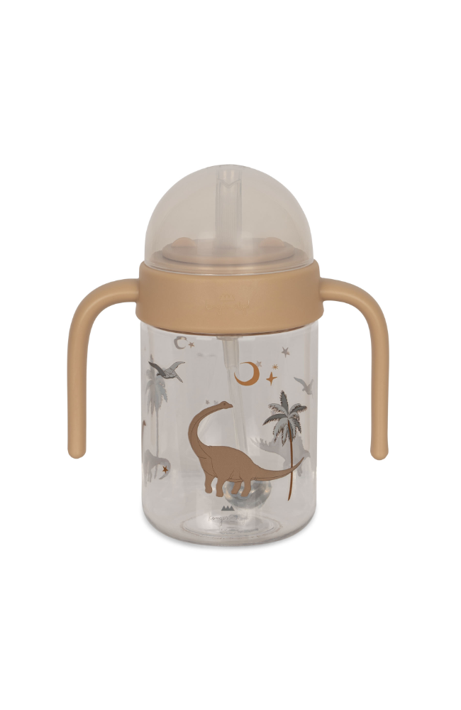 Baby Bottle With Handle - Dino