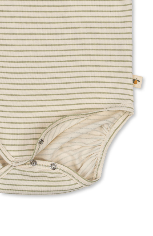 Basic Body - Tea Stripe