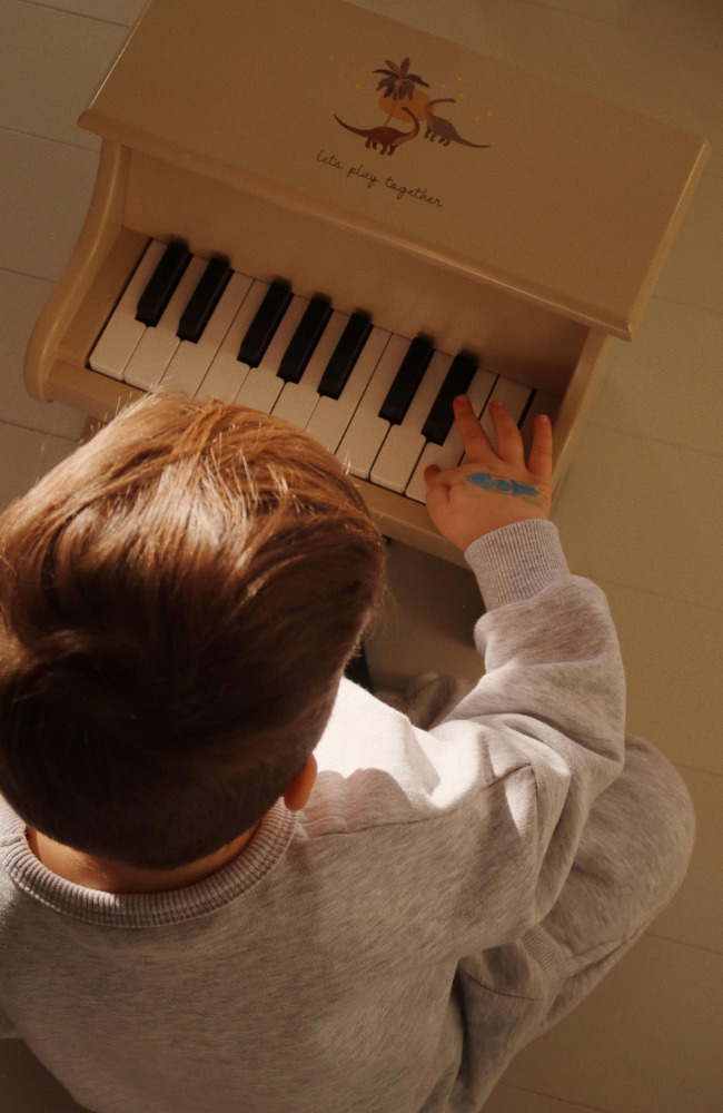 Wooden Piano - Dino