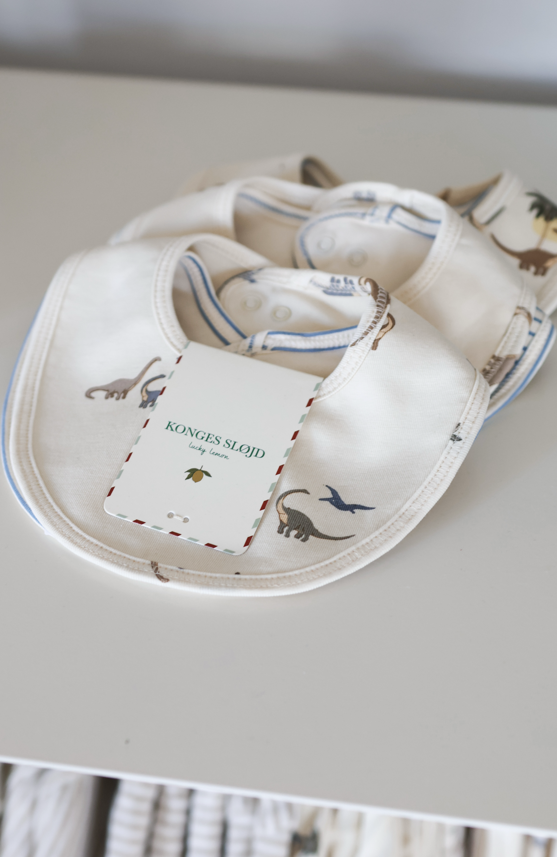 2 Pack Basic Bib - Kubi/Stripe Bluie