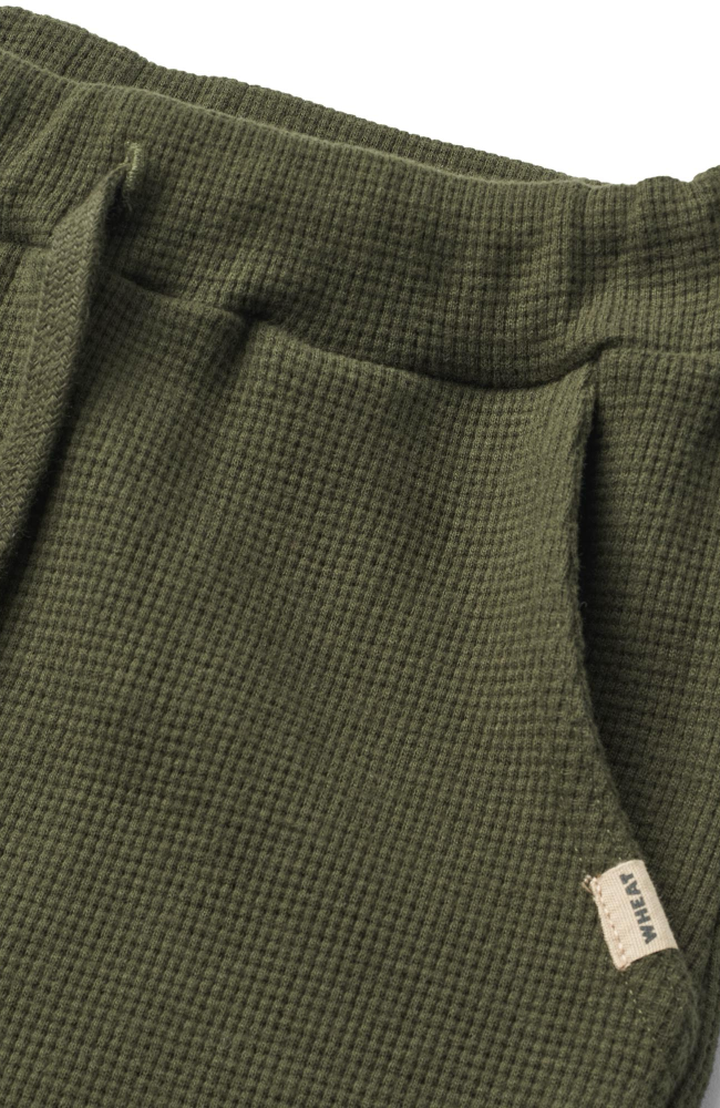 Sweat Pants Costa - Pine Needle st.98-128