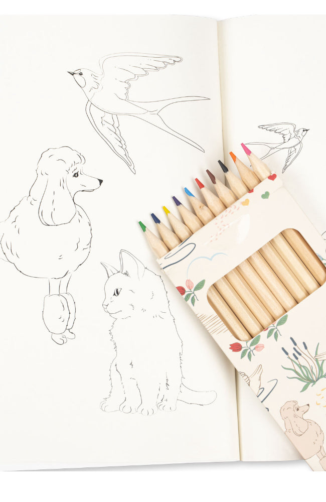 Coloring Book and Crayons - Mizumi