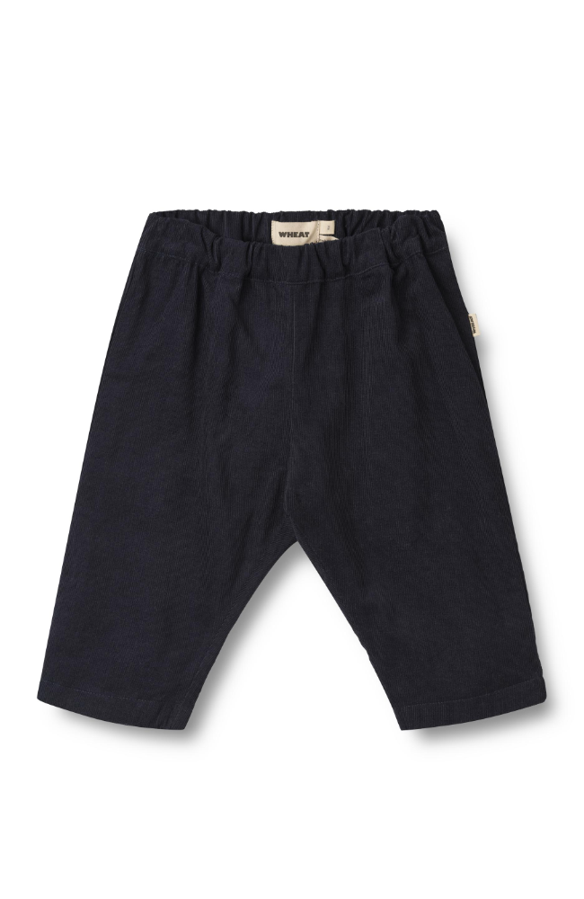 Trousers Lined Aiden - Navy