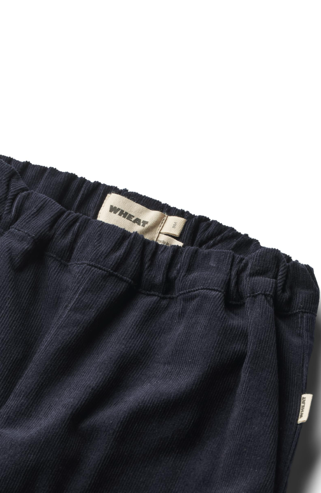 Trousers Lined Aiden - Navy