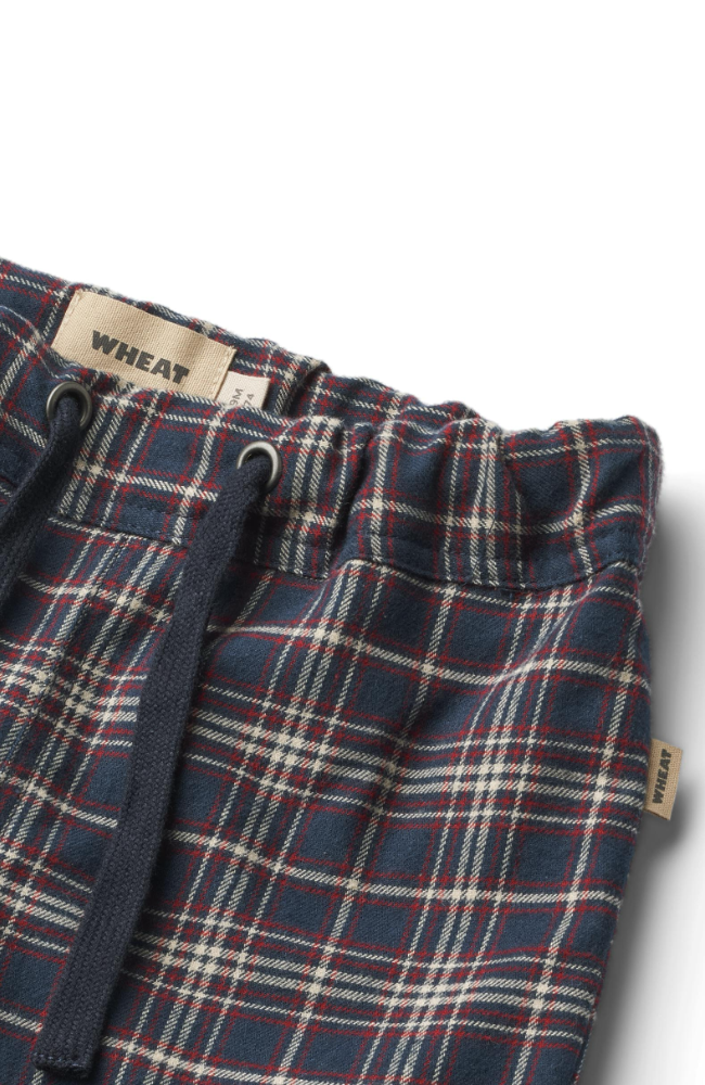 Trousers Gustav - Navy Check