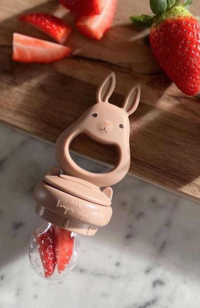 Silicone Fruit Feeding Pacifier Bunny - Hortensia / Almond