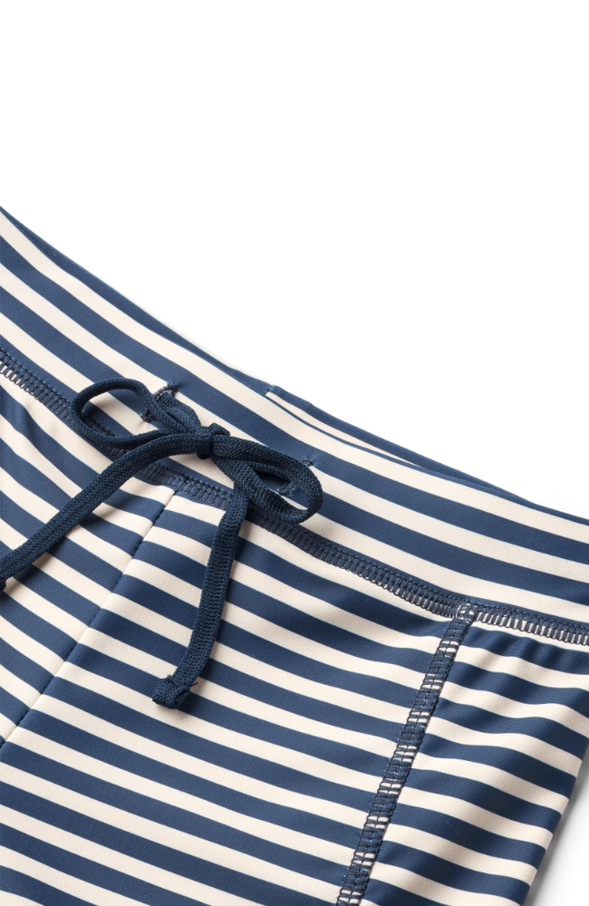 Swim Shorts Ulrik - Indigo stripe