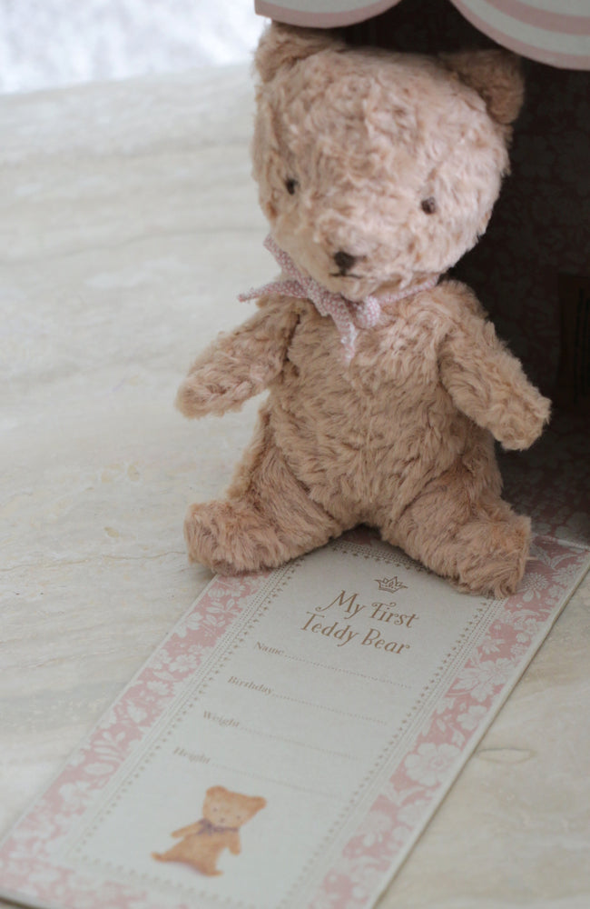 My First Teddy - Powder