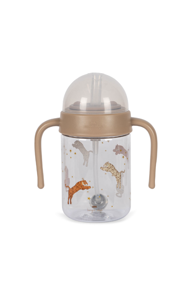 Baby Bottle With Handle - Roar