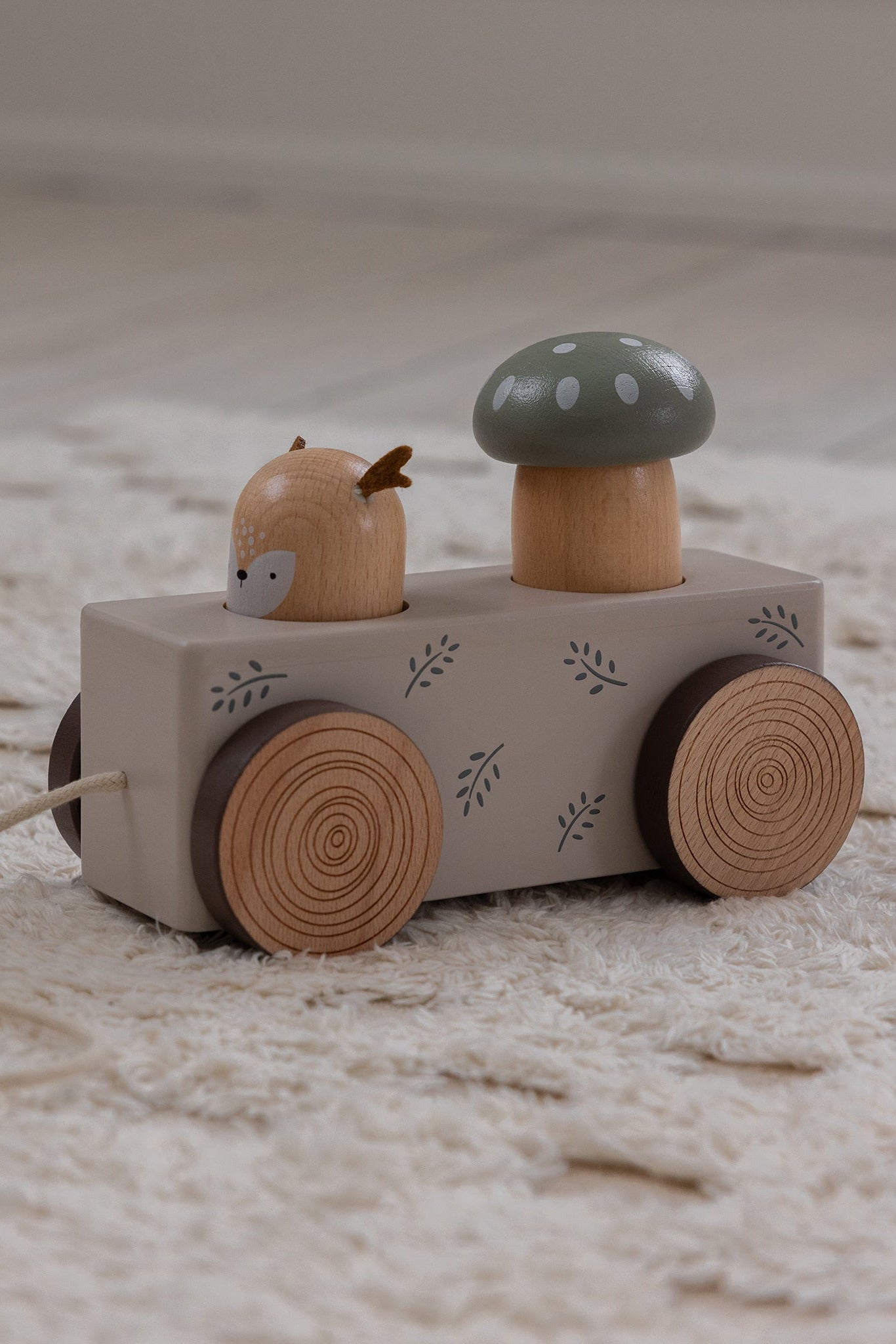 Pop-up Pull-along Toy