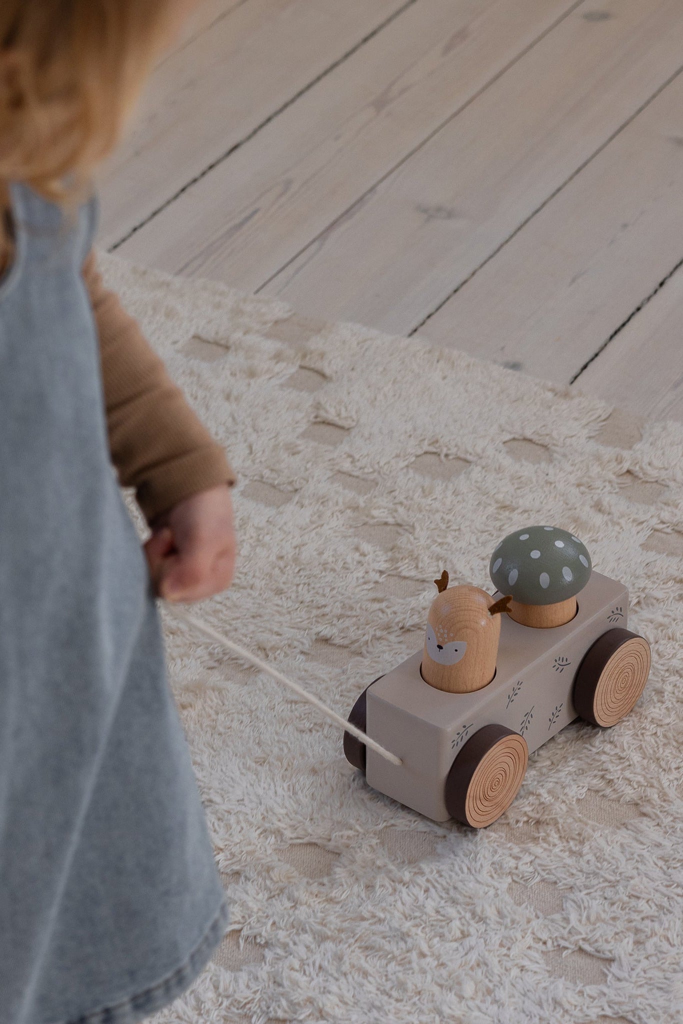 Pop-up Pull-along Toy