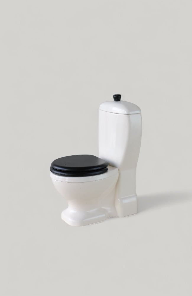 Miniature Toliet