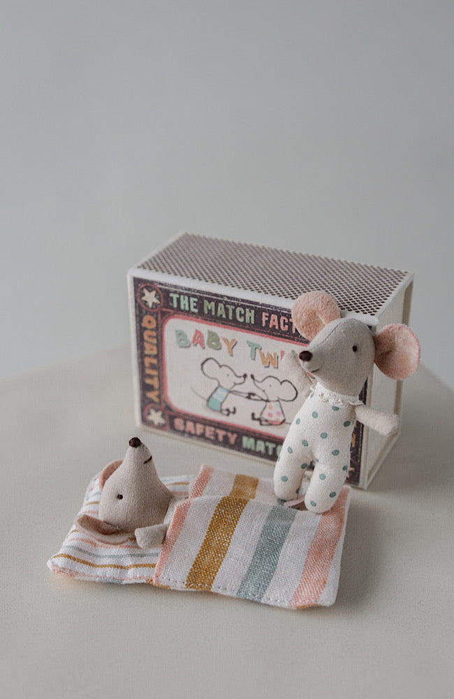 Twins - Baby Mice in Matchbox