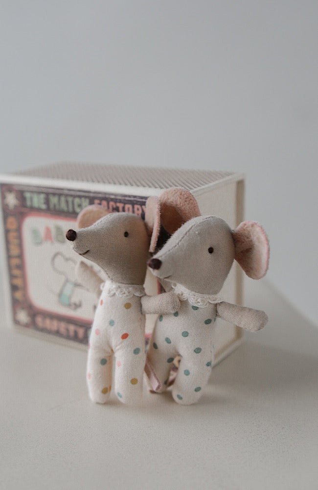 Twins - Baby Mice in Matchbox