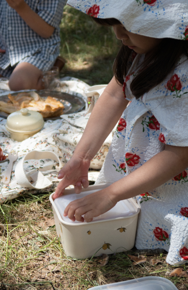 Food Container Set - Lemon