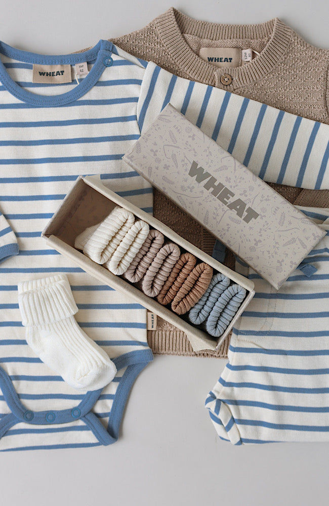 Giftbox Evig socks 5pk - Blue