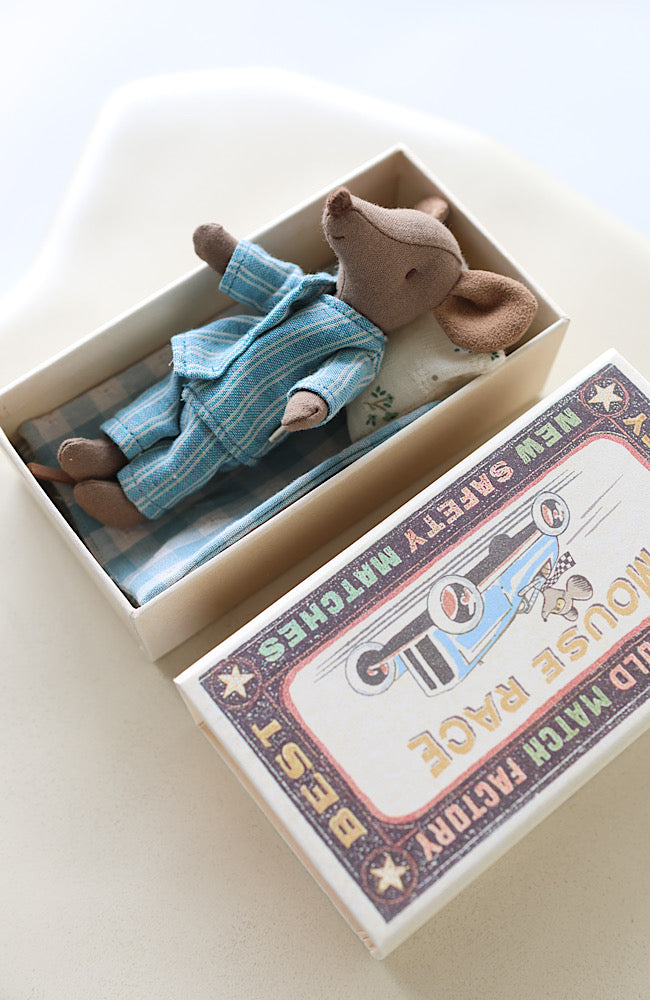 Big Brother Mouse In Matchbox - Blue