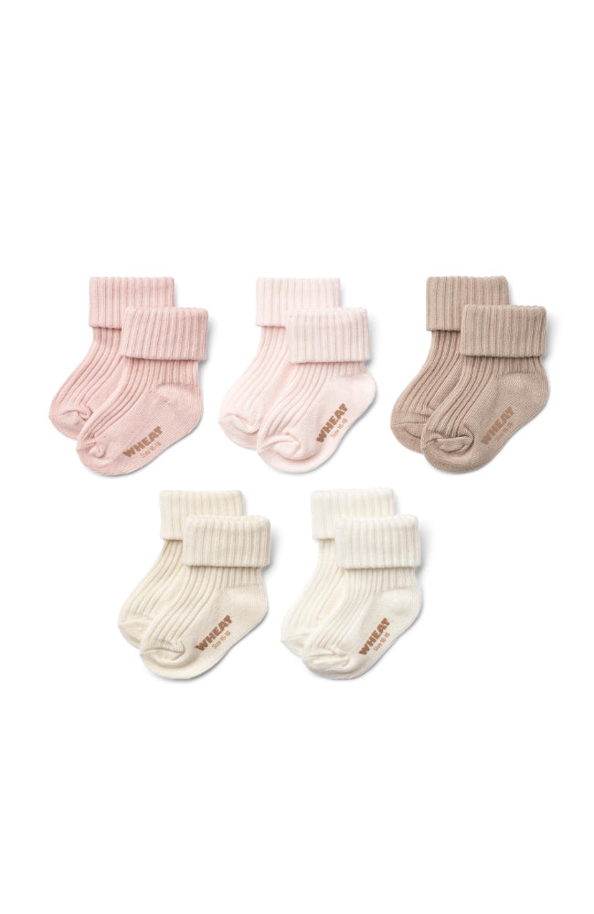 Giftbox Evig socks 5pk - Rose