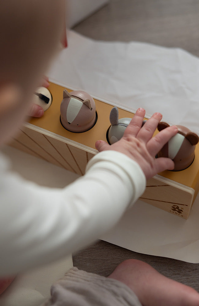 Wooden Pop Up Toy