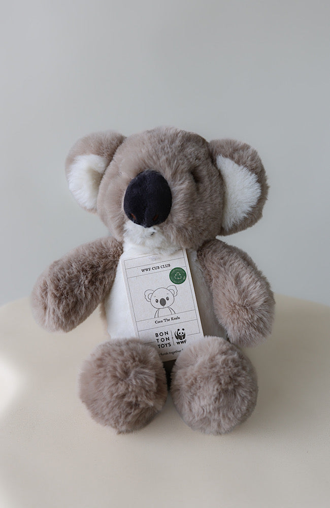 Coco Koala Grey 23cm