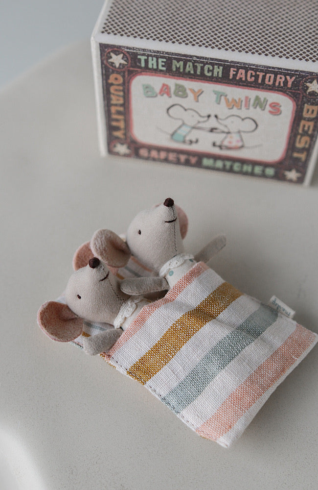 Twins - Baby Mice in Matchbox