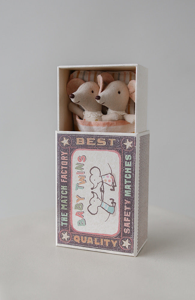 Twins - Baby Mice in Matchbox