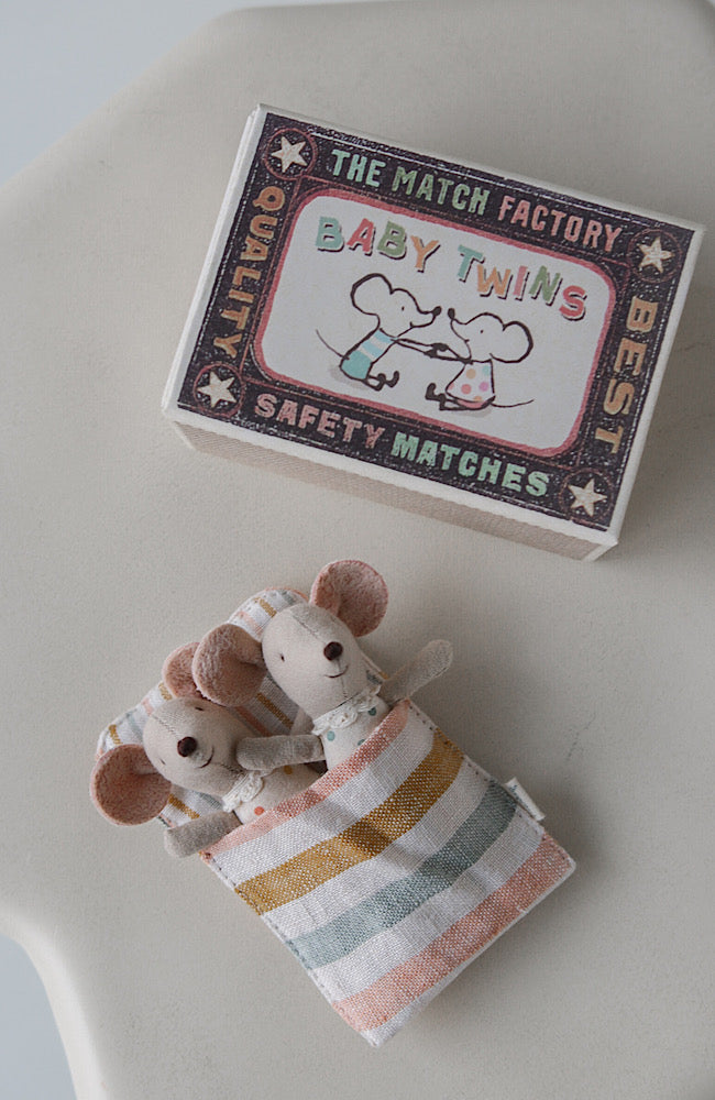 Twins - Baby Mice in Matchbox