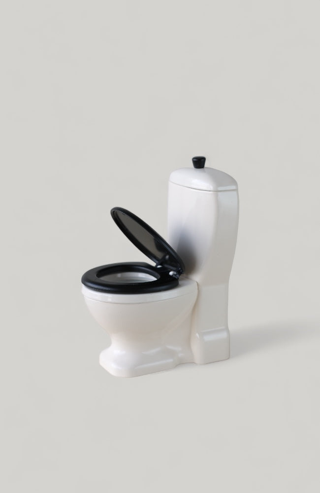 Miniature Toliet