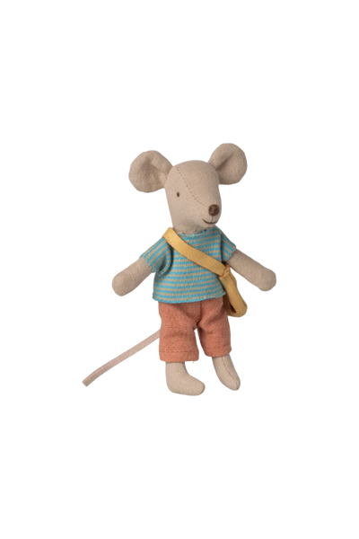 Little brother mouse with bag