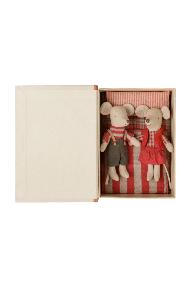 Christmas twin mice, Little sister and brother in book