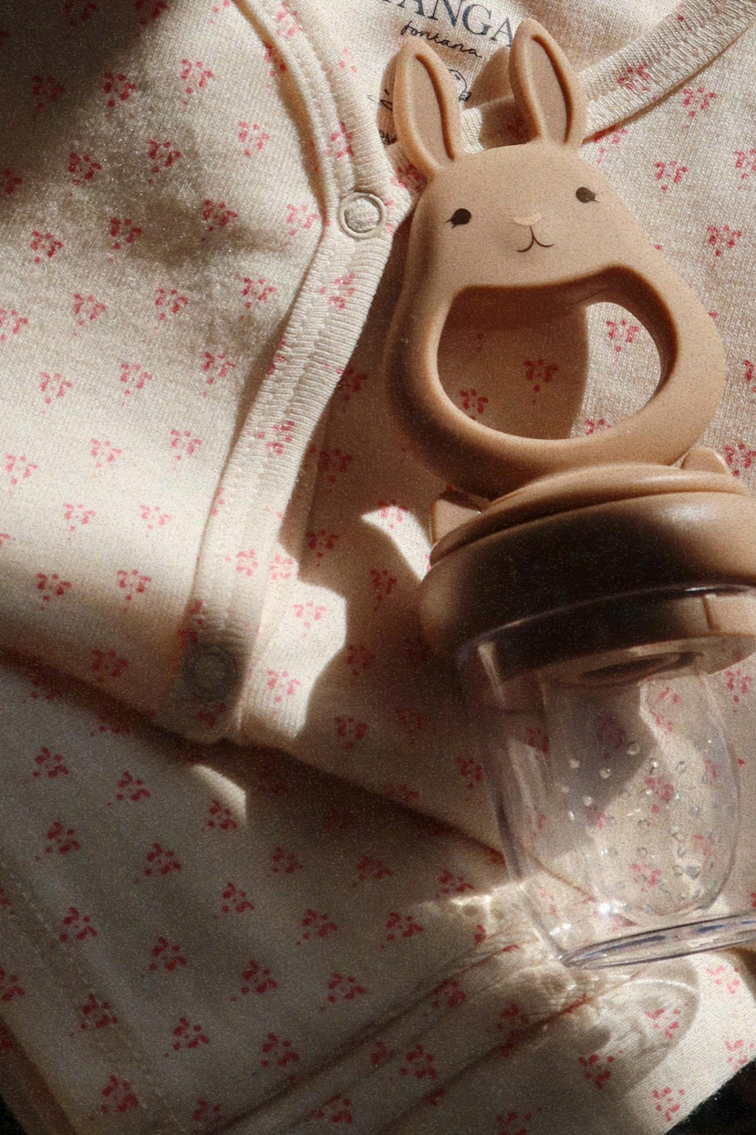 Silicone Fruit Feeding Pacifier Bunny - Bark / Shell