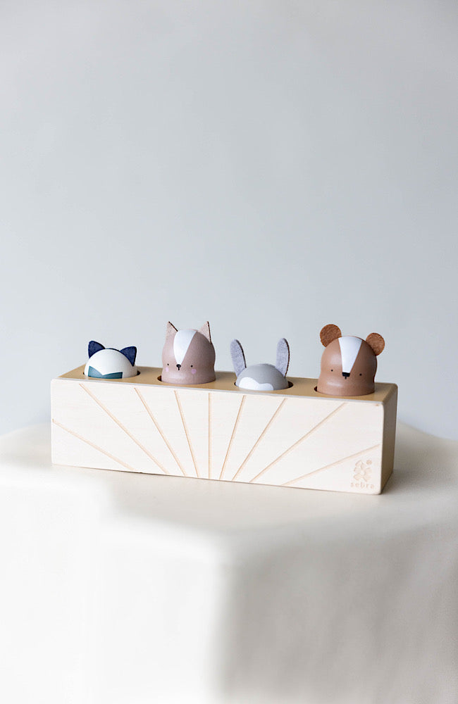 Wooden Pop Up Toy