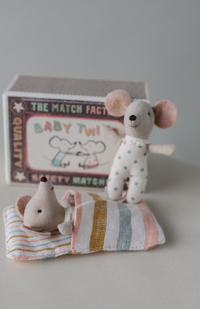 Twins - Baby Mice in Matchbox