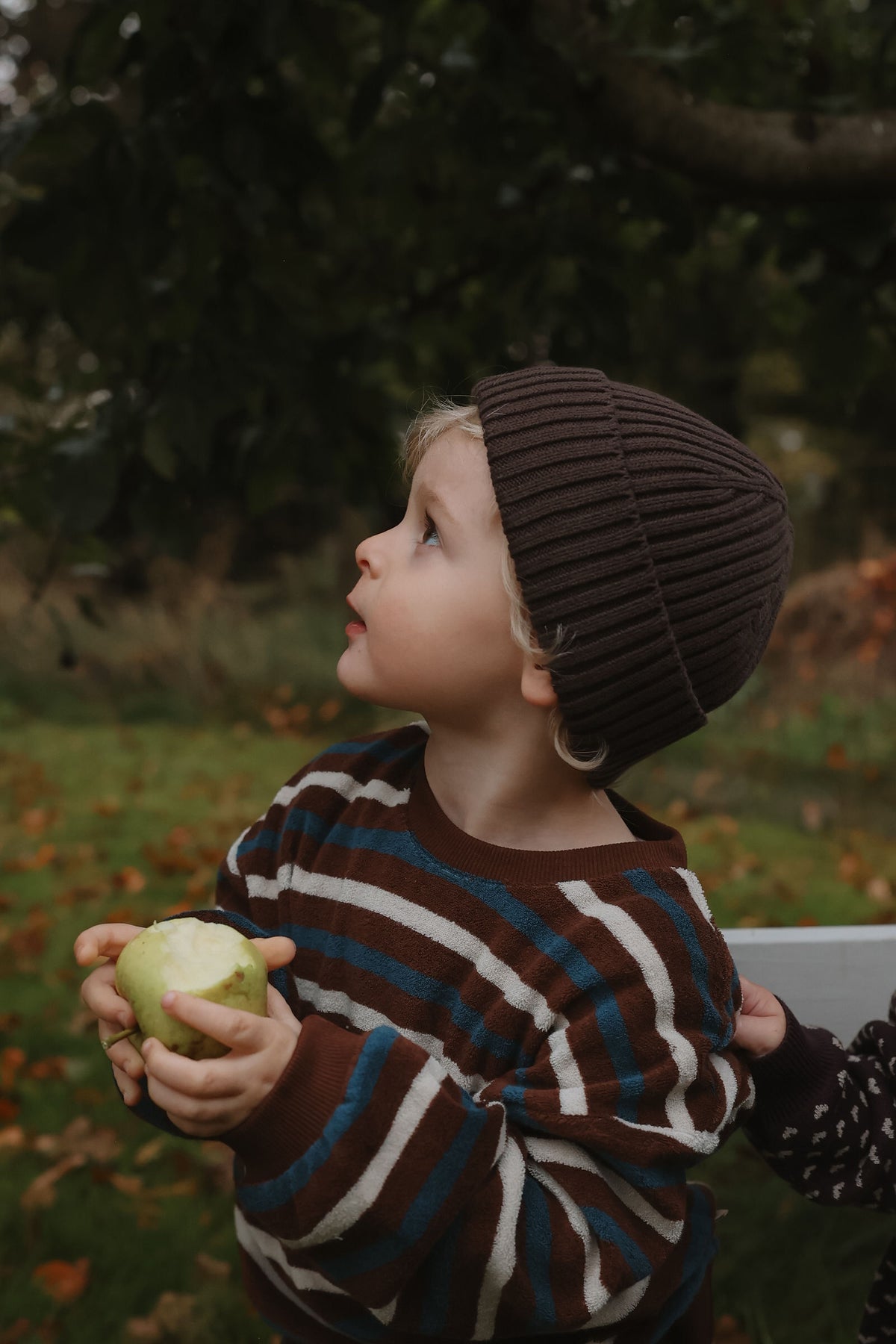 Knit Beanie - Chestnut