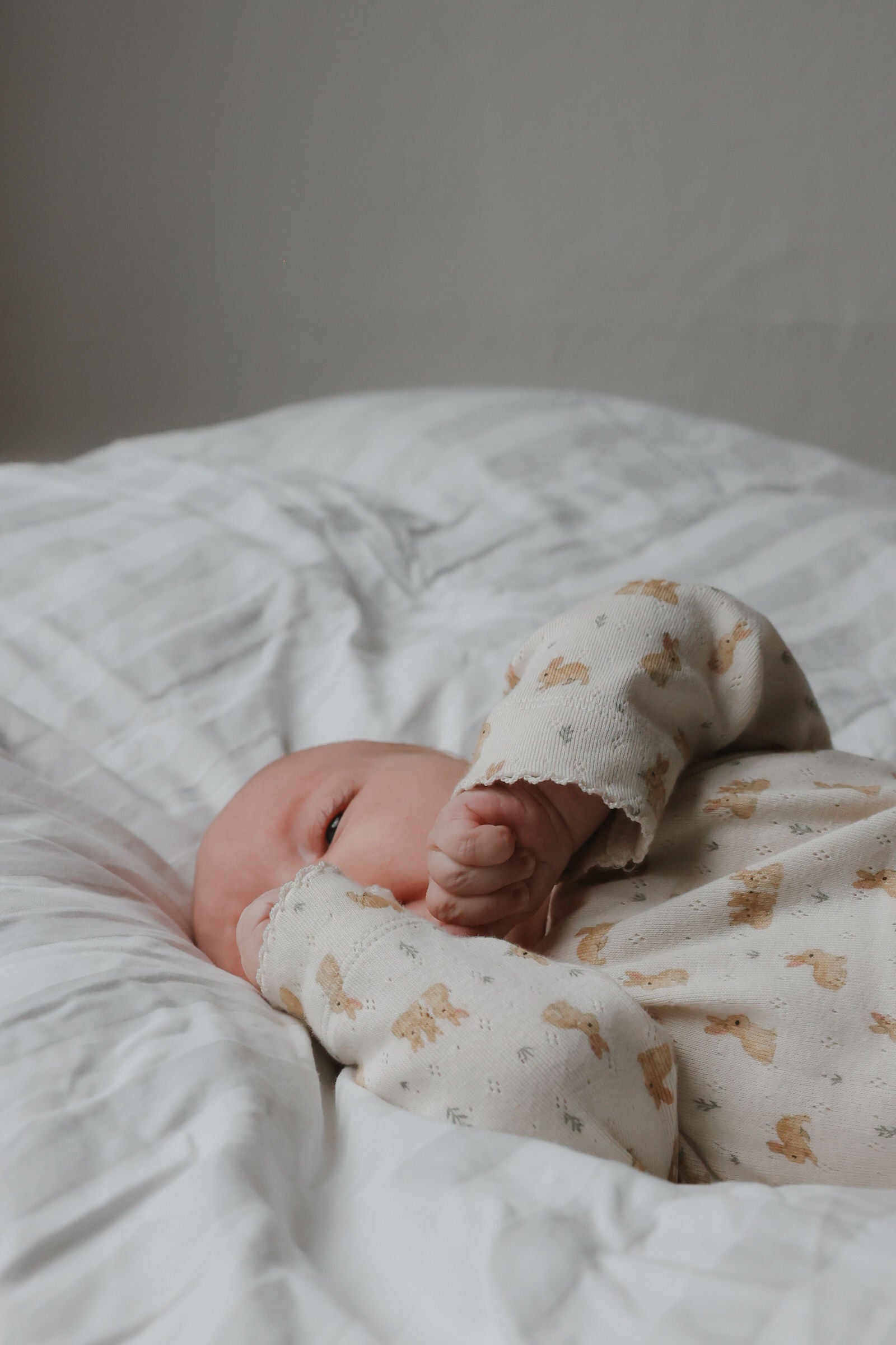 Dio Newborn Jumpsuit Fold Feet Pointelle - Eggnog Rabbit