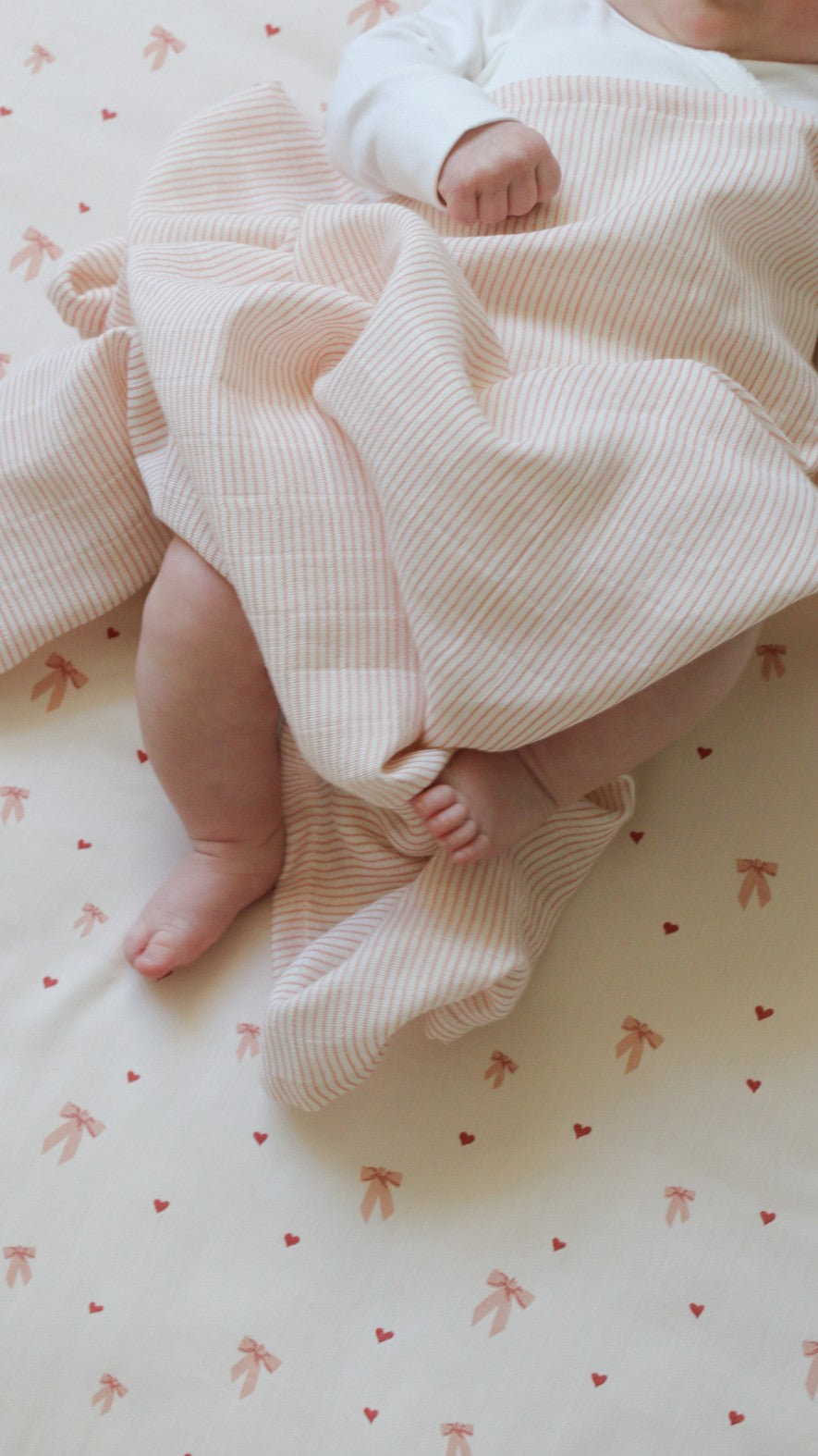 Muslin Cloth 2 pack - Classic Stripes Rose