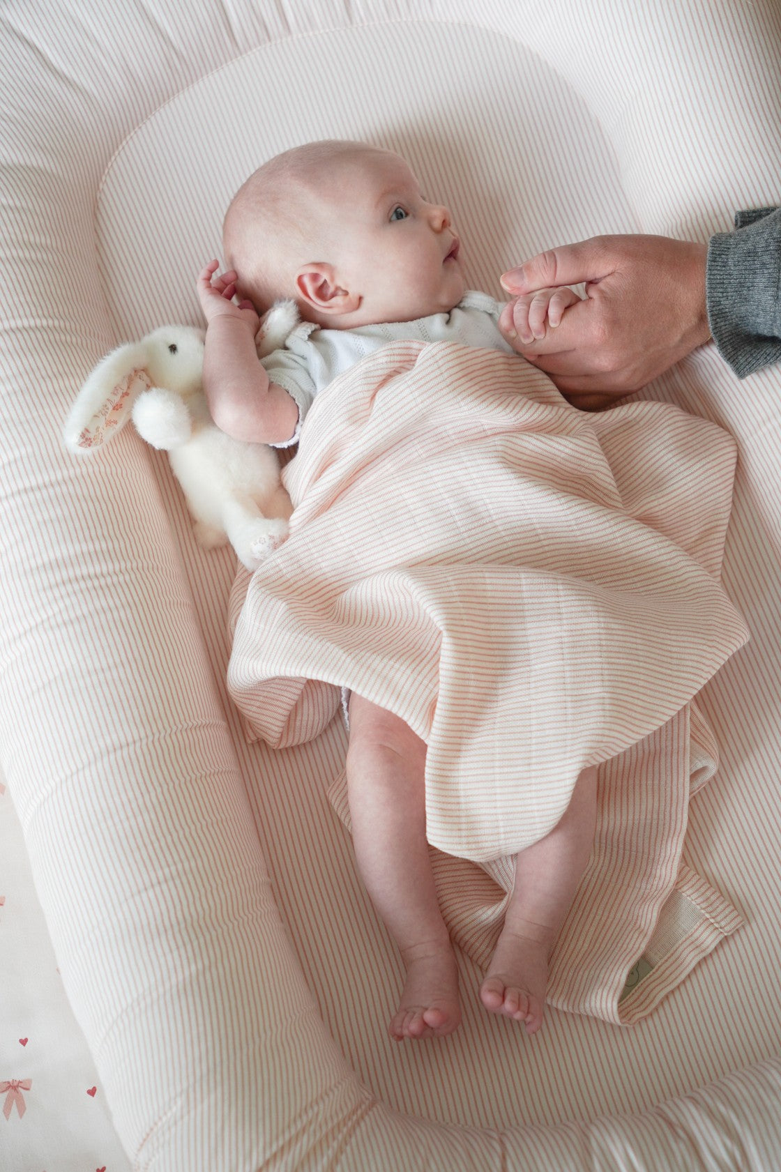 Baby Nest - Classic Stripes Rose