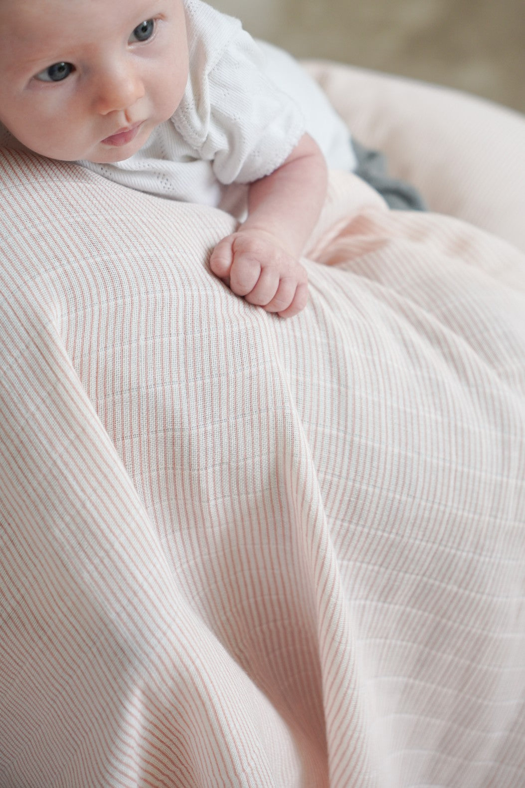 Muslin Cloth 2 pack - Classic Stripes Rose