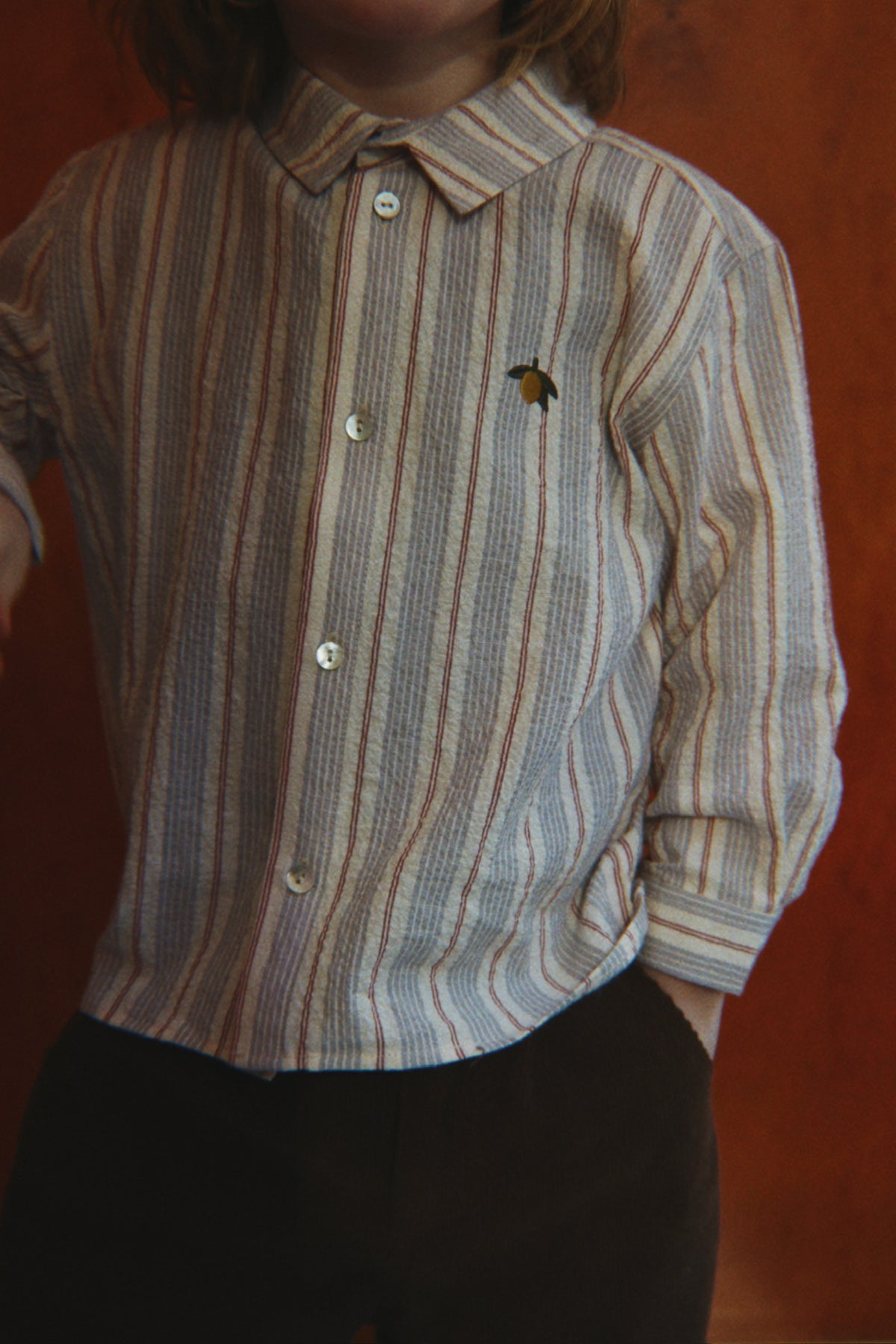 Elliot Shirt - Tocororo Stripe