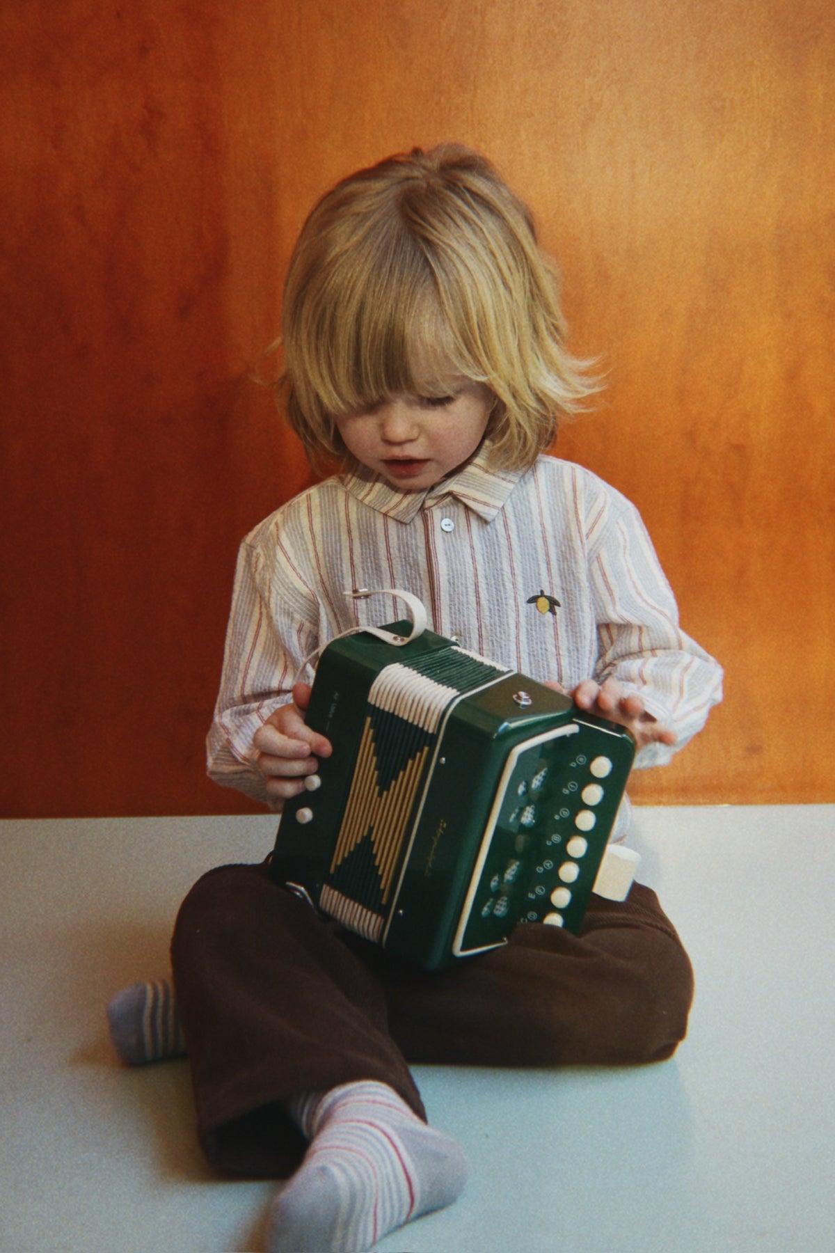 Accordion / Harmonikka - Green